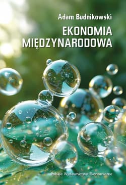 Ekonomia międzynarodowa wyd. 6 - Adam Budnikowski