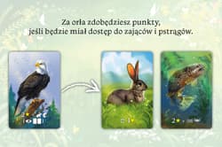 Galeria - zdjęcie nr. 3 - Ekosystem