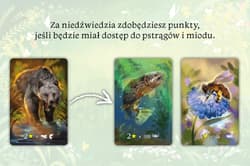 Galeria - zdjęcie nr. 4 - Ekosystem