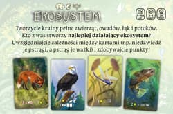 Galeria - zdjęcie nr. 5 - Ekosystem