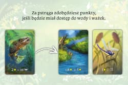 Galeria - zdjęcie nr. 3 - Ekosystem