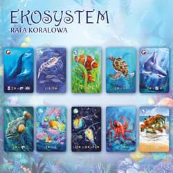 Galeria - zdjęcie nr. 2 - Ekosystem 2 Rafa koralowa