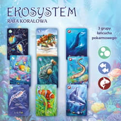 Galeria - zdjęcie nr. 3 - Ekosystem 2 Rafa koralowa