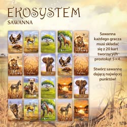 Galeria - zdjęcie nr. 4 - Ekosystem 3 Sawanna