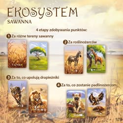 Galeria - zdjęcie nr. 5 - Ekosystem 3 Sawanna