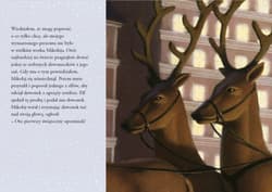 Galeria - zdjęcie nr. 4 - Ekspres Polarny