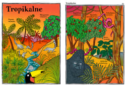 Galeria - zdjęcie nr. 2 - Elegantki trucicielki i inne ziółka Zwariowany atlas roślin