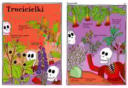 Galeria - zdjęcie nr. 3 - Elegantki trucicielki i inne ziółka Zwariowany atlas roślin