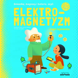 Elektromagnetyzm i jego tajemnice - Kaid-Salah Ferron Sheddad