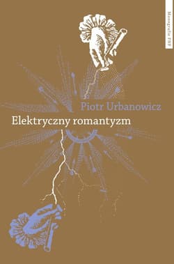 Elektryczny romantyzm Nauka o elektryczności a literatura i filozofia polska pierwszej połowy XIX wieku - Urbanowicz Piotr