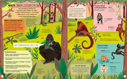 Galeria - zdjęcie nr. 4 - Encyklopedia rzeczy, które się mylą. Świat a wszechświat, tornado a huragan, mikroskop a teleskop oraz wiele innych par