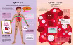 Galeria - zdjęcie nr. 5 - Encyklopedia rzeczy, które się mylą. Świat a wszechświat, tornado a huragan, mikroskop a teleskop oraz wiele innych par