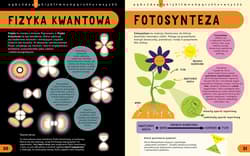 Galeria - zdjęcie nr. 2 - Encyklopedia STEM od A do Z. 100 naukowych słów, które musisz znać!
