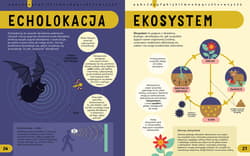 Galeria - zdjęcie nr. 3 - Encyklopedia STEM od A do Z. 100 naukowych słów, które musisz znać!