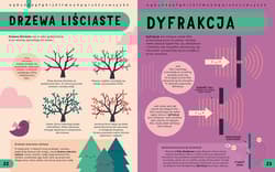 Galeria - zdjęcie nr. 4 - Encyklopedia STEM od A do Z. 100 naukowych słów, które musisz znać!