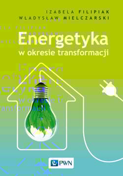 Energetyka w okresie transformacji - Izabela Filipiak