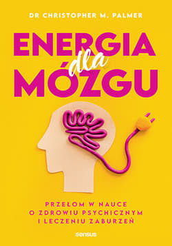 Energia dla mózgu. Przełom w nauce o zdrowiu psychicznym i leczeniu zaburzeń - Christopher M. Palmer
