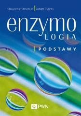 Enzymologia. Podstawy - Strumiło Sławomir,  Tylicki Adam