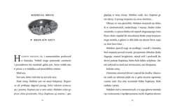 Galeria - zdjęcie nr. 4 - Esperanza