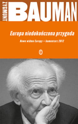 Europa - niedokończona przygoda - ebook