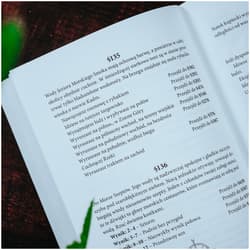 Galeria - zdjęcie nr. 4 - Fabled Lands. Rozdarte królestwo. Gra książkowa