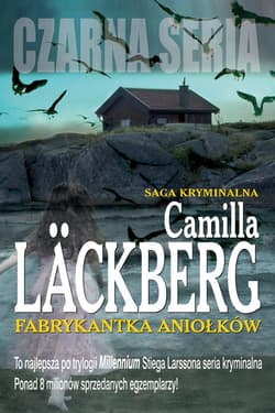 Fabrykantka aniołków - ebook