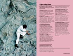 Galeria - zdjęcie nr. 4 - Faktomania