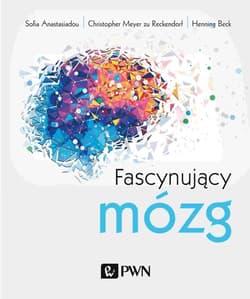 Fascynujący mózg - Henning Beck