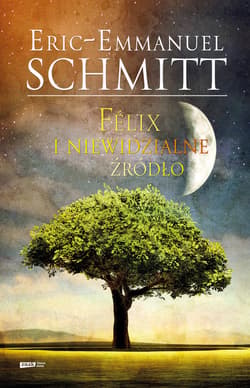 Félix i niewidzialne źródło - ebook
