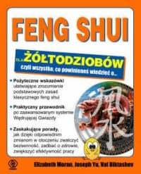 Feng Shui dla żółtodziobów - Elizabeth  Moran, Joseph  Yu, Val  Biktashev