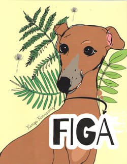 Figa - Konieczny Kinga