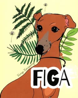 Figa - Konieczny Kinga