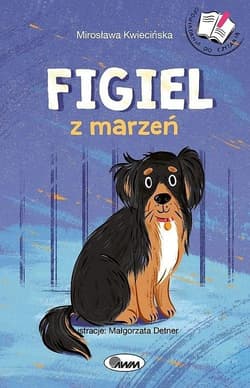 Figiel z marzeń Opowiadania do czytania - Mirosława Kwiwcińska