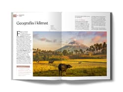 Galeria - zdjęcie nr. 5 - Filipiny. Złota Seria