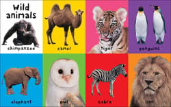 Galeria - zdjęcie nr. 3 - First 100 Animals