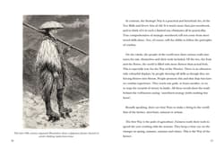 Galeria - zdjęcie nr. 2 - Five Rings wer. angielska