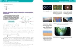 Galeria - zdjęcie nr. 5 - Fizyka. Repetytorium liceum/technikum 2023
