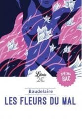 Fleurs du mal - Charles Baudelaire