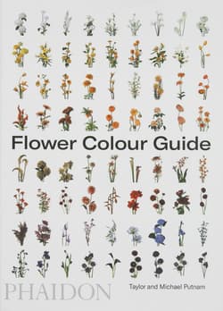 Flower Colour Guide wer. angielska - Taylor Putnam, Michael Putnam