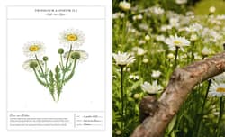 Galeria - zdjęcie nr. 3 - Flower Couture