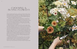 Galeria - zdjęcie nr. 5 - Flower Philosophy wer. angielska