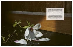 Galeria - zdjęcie nr. 4 - Flower Philosophy wer. angielska