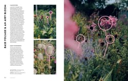Galeria - zdjęcie nr. 5 - Flower Power