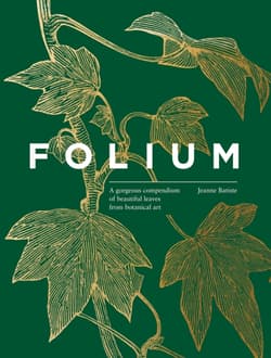 Folium - Jean Batiste