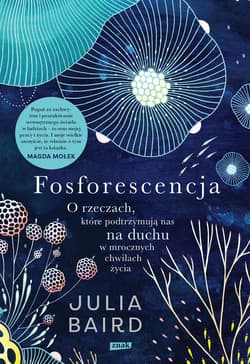 Fosforescencja. O rzeczach, które podtrzymują nas na duchu w mrocznych chwilach życia - ebook - Julia Baird