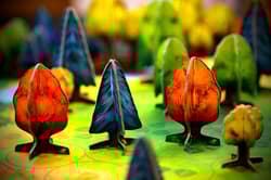 Galeria - zdjęcie nr. 3 - Fotosynteza