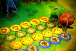 Galeria - zdjęcie nr. 4 - Fotosynteza