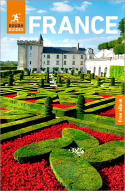 France. Travel Guide with eBook - Opracowanie Zbiorowe