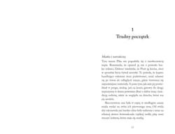 Galeria - zdjęcie nr. 4 - Franciszek z Asyżu. Życie niespokojne