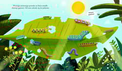 Galeria - zdjęcie nr. 3 - Franek jest motylem. Emocje z natury